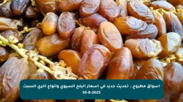 أسواق مطروح.. تحديث جديد في أسعار البلح السيوي وأنواع أخرى السبت 30-8-2025